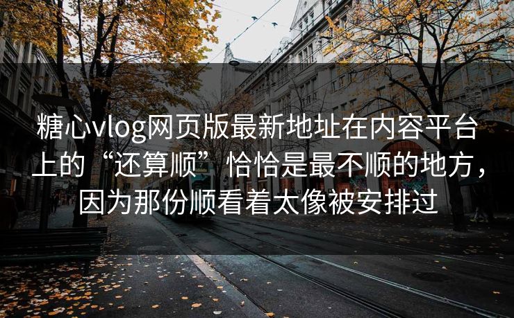 <strong>糖心vlog</strong>网页版最新地址在内容平台上的“还算顺”恰恰是最不顺的地方，因为那份顺看着太像被安排过